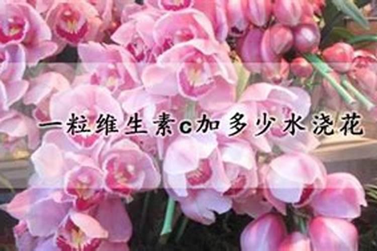 柑橘如何高效施肥用肥