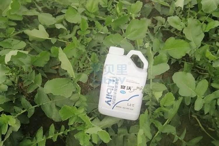 怎样鉴别假化肥 怎样识别真假化肥