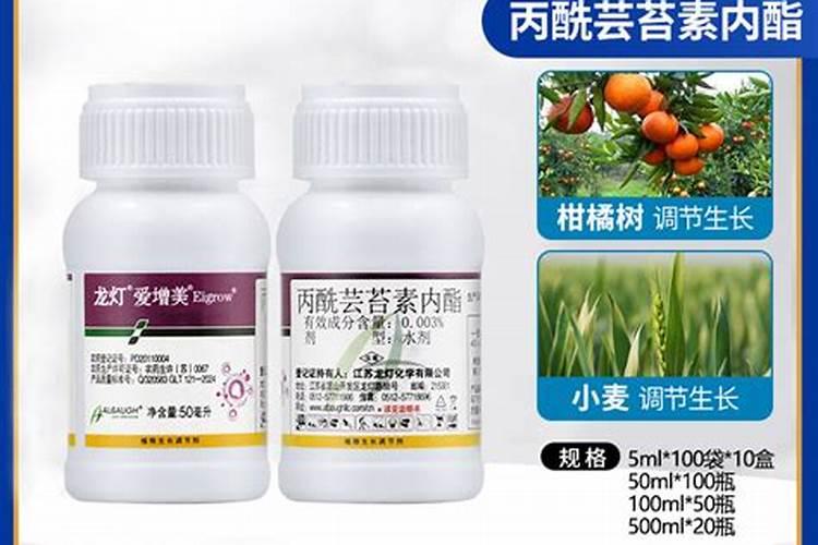 芸苔素内酯哪家好？主要作用是什么？