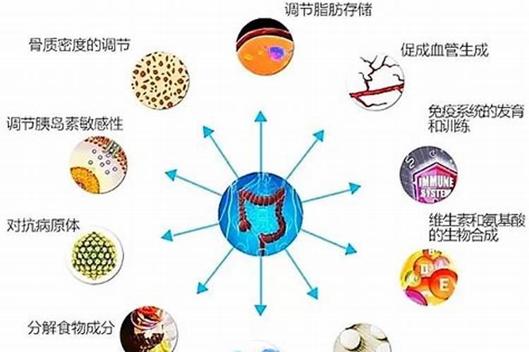 益生素是什么物质？其有什么作用？