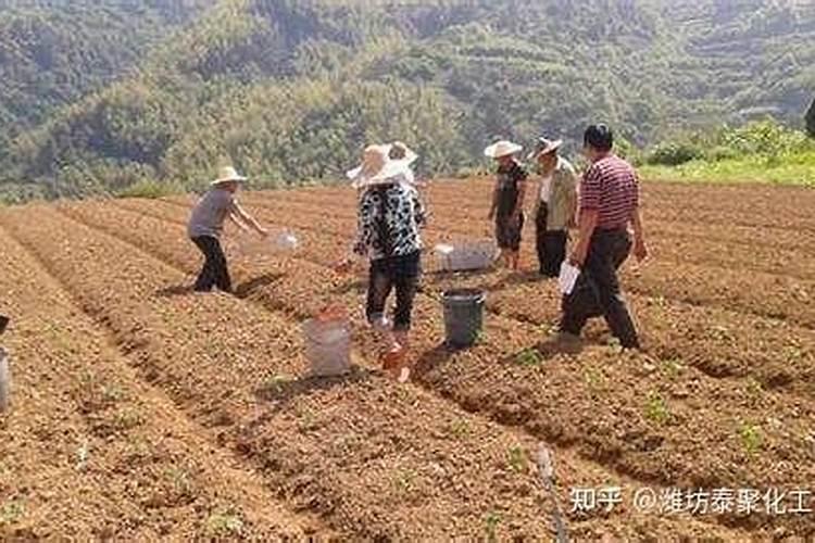 农业用肥,硫酸镁