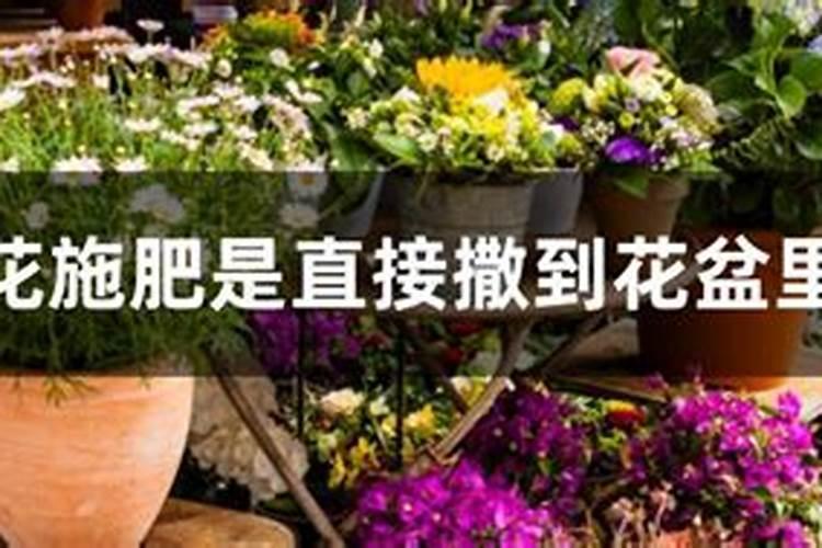一盆花放了20粒复合肥会怎样 花盆里复合肥放多了怎么补救