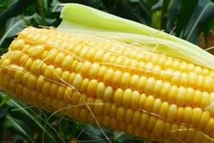 尿素二铵钾肥如何配肥