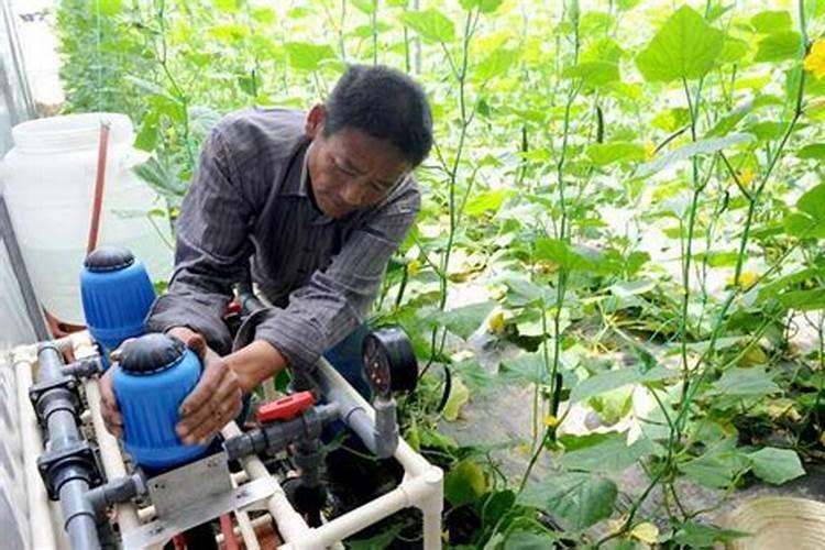 同是全水溶性肥料,价格差距为什么那么大