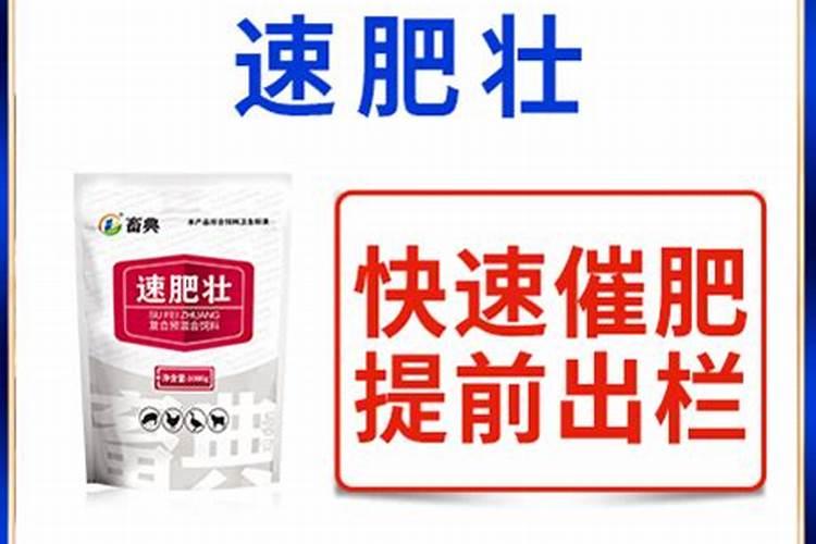 武汉同城快递有哪些公司以及价格