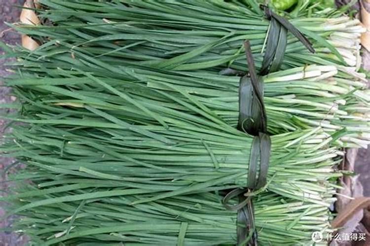 颠覆您的认知——养花还在用“多菌灵”？OUT了