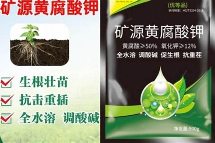 发霉的馒头能放入花卉中当肥料么