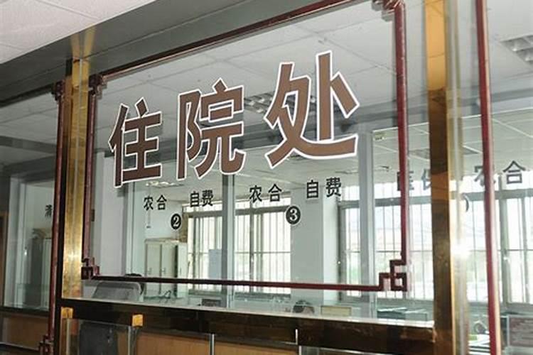 杉树什么月份施肥最合适