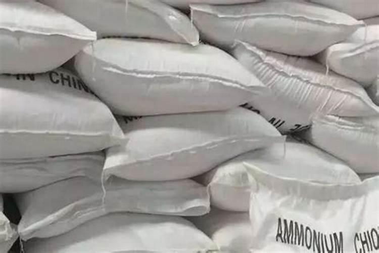 水养富贵竹施什么肥