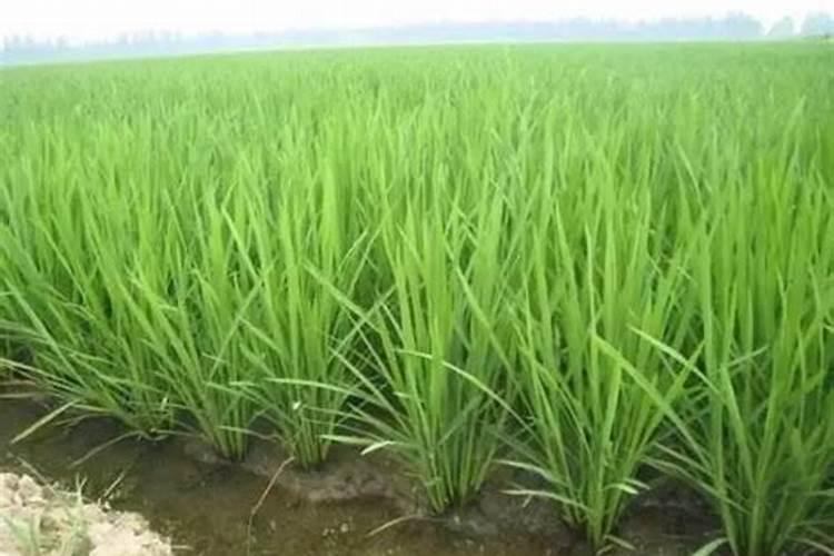 喝了含有消毒液的桶装水对人体有伤害吗？急急急