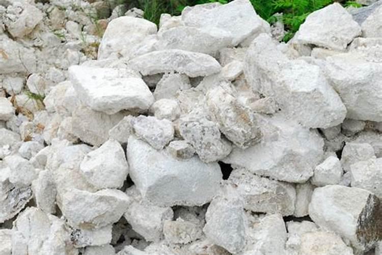 通常加什么物质来中和土壤的酸性添加什么可以中和土壤的酸性百度知 ...