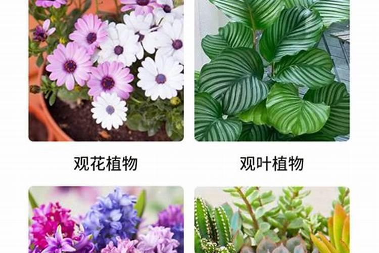 如何自制氮磷钾肥