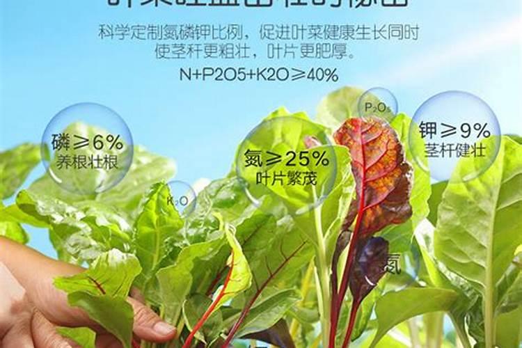 硼肥什么时候用效果好叶类菜