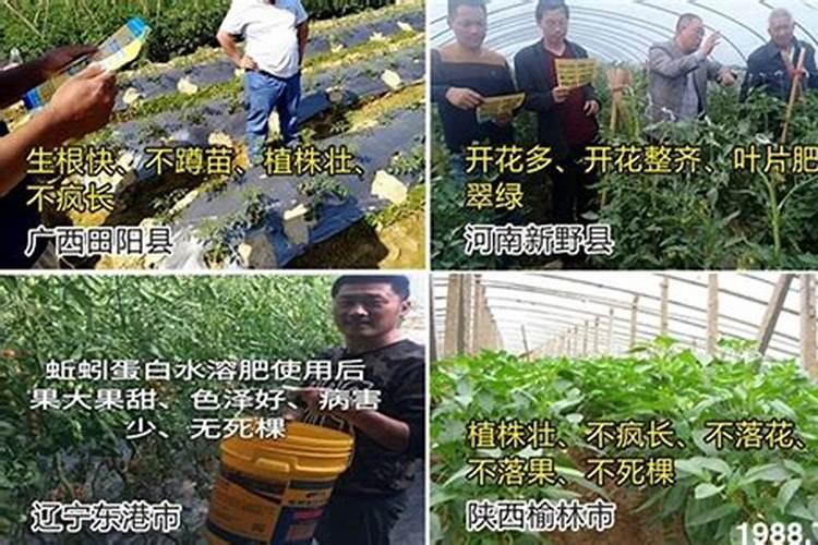 氨基酸对鱼有什么作用