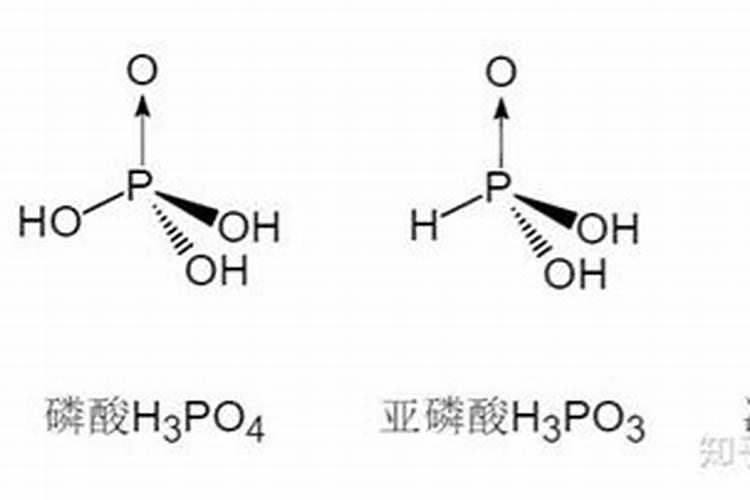 种冬小麦光用磷肥可以吗