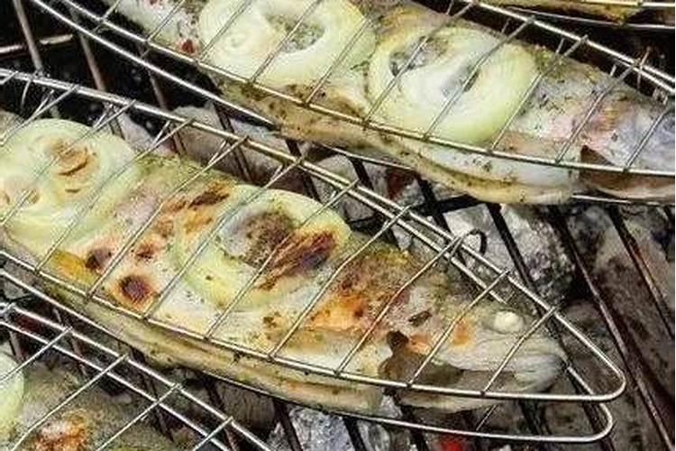 鱼蛋白有哪些作用呢？