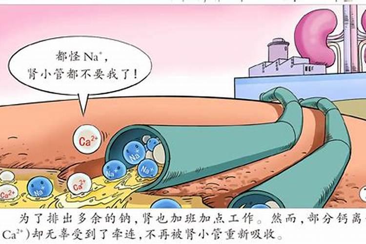 来聊一下钾肥的种类