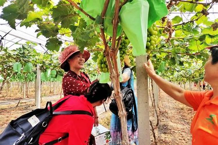 国家发改委天然气新政:对氢能“敞大门”,并收紧甲醇及合成氨政策百度...