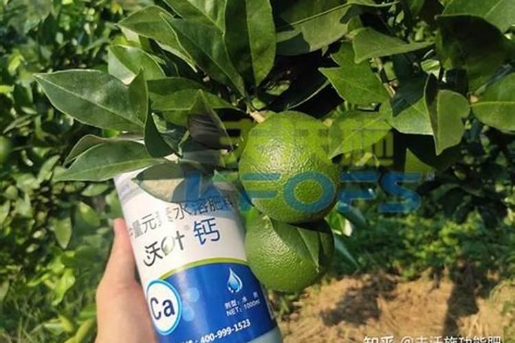 哪种叶面用的钙肥吸收好