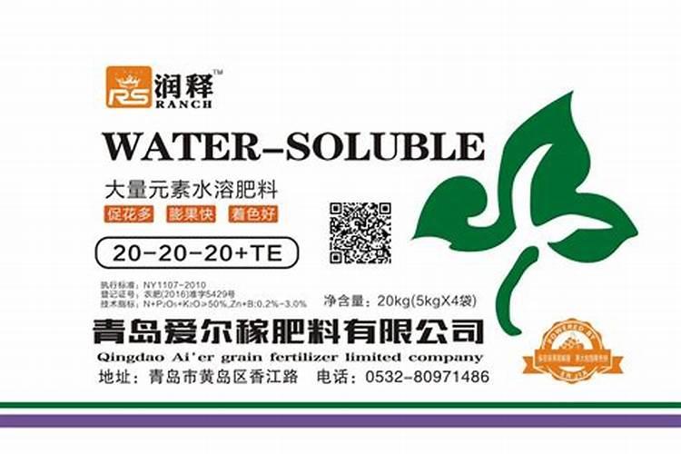 西红柿叶子太茂盛怎么办