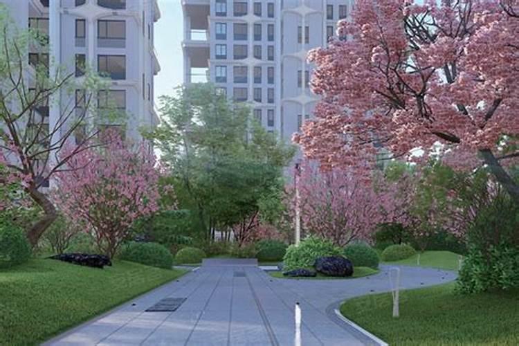 草坪专用肥和复合肥有什么区别