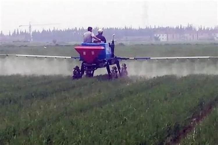 朝天椒开花结果时用什么药最好？