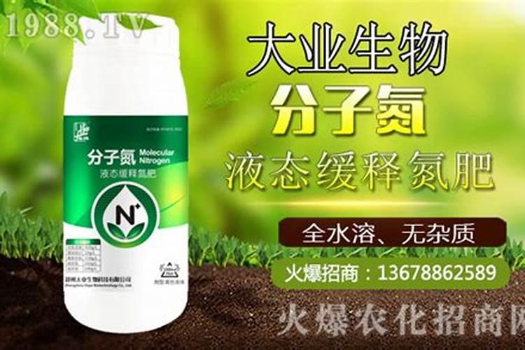 玉米追肥用尿素还是复合肥