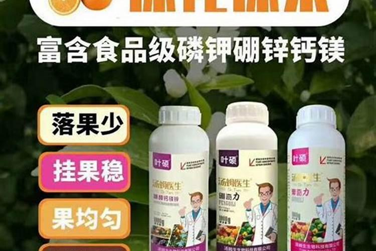 硼肥在柑橘树上的最佳使用时期