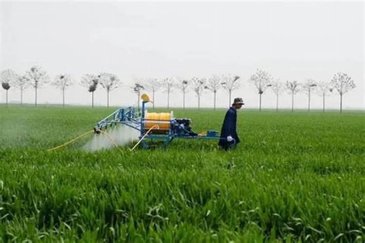 老师们铜制剂可以与哪些药共用