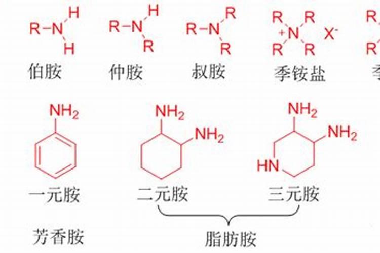 柚子树钾肥应该什么时候下