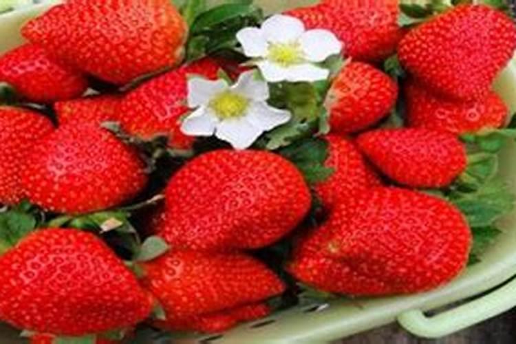 如何分辨化肥种类