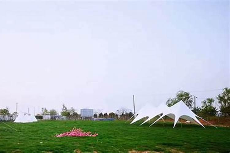 生根肥使用过程中应注意什么