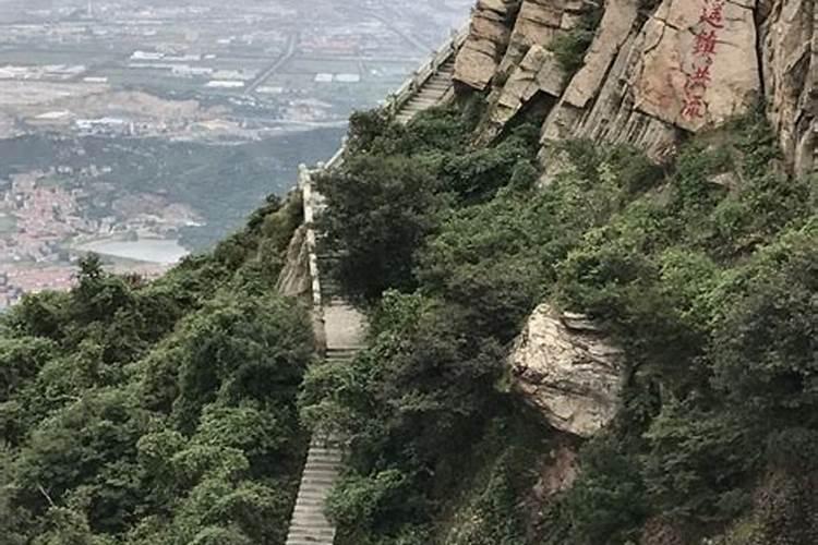 发财树怎么养护用什么肥生根 发财树如何养护用什么肥生根