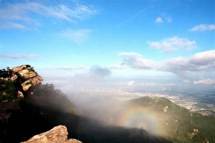 什么肥可以生根长根？