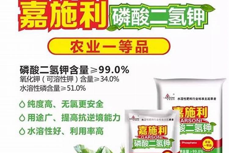 花生后期喷什么叶面肥最好