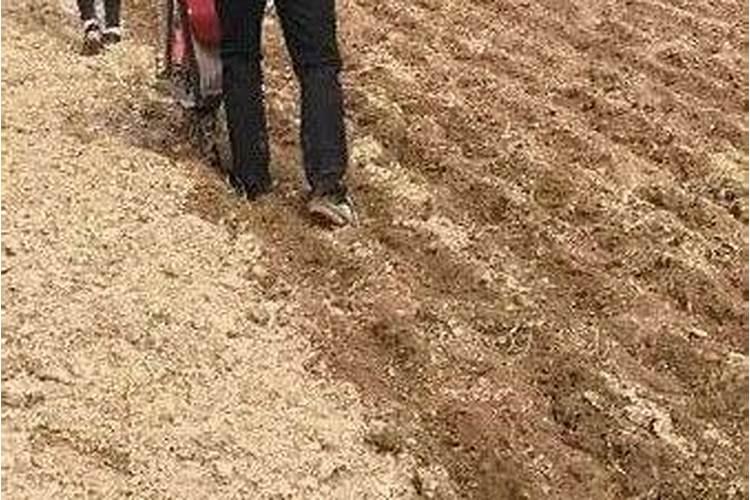 氮肥的贮存方法