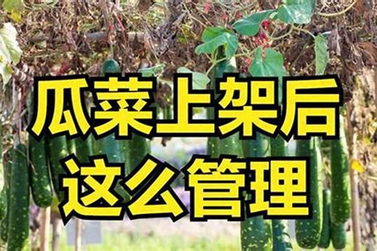 能百旺在葡萄开花期能使用吗