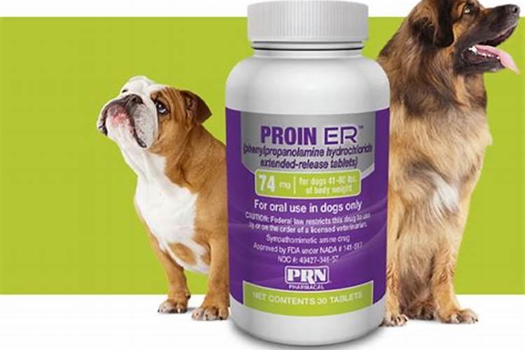 磷酸二氢钾可以喷施青菜吗