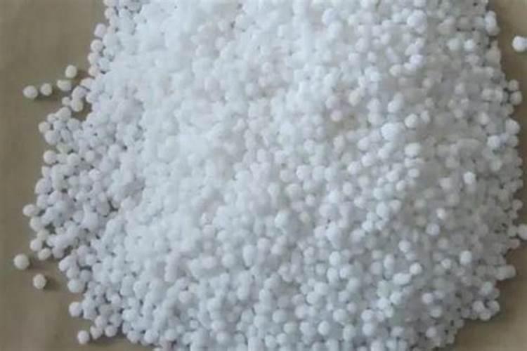 金银花病虫害(五)银花叶蜂