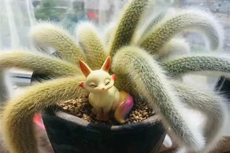 上海诺莱仕游艇会会员门槛