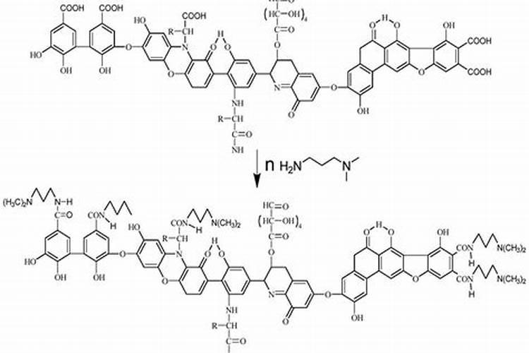 含腐殖酸的肥料有什么作用？