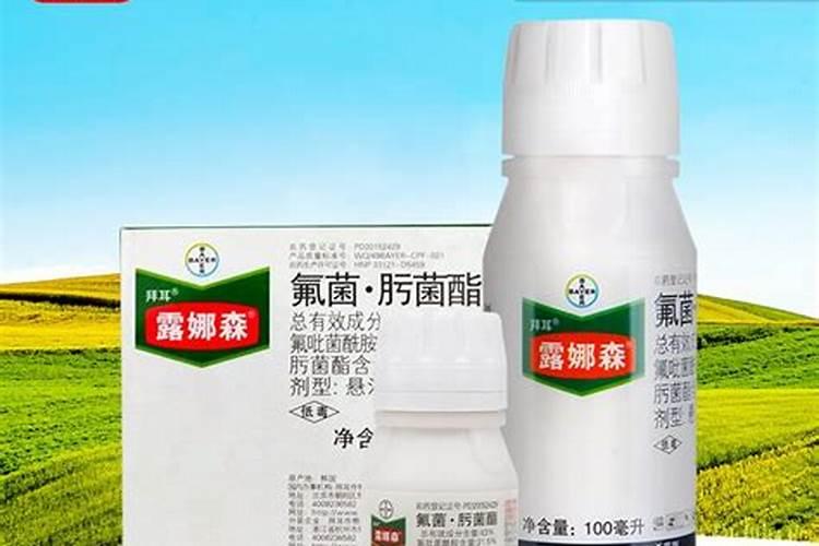 绿萝喷叶子用什么肥好