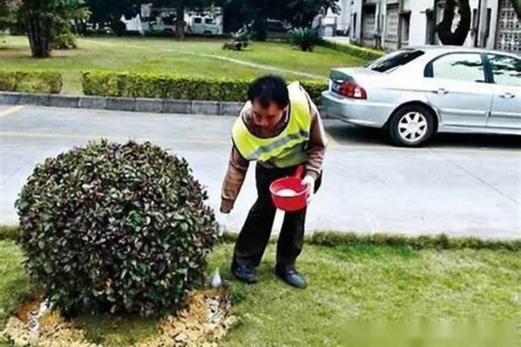 含腐植酸水溶肥料配方