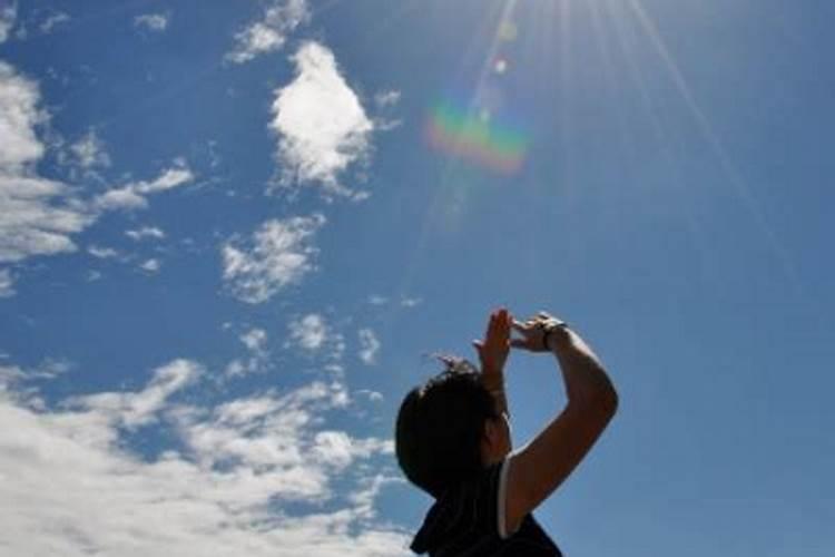 油茶树可以施复合肥吗 使用方法有哪些