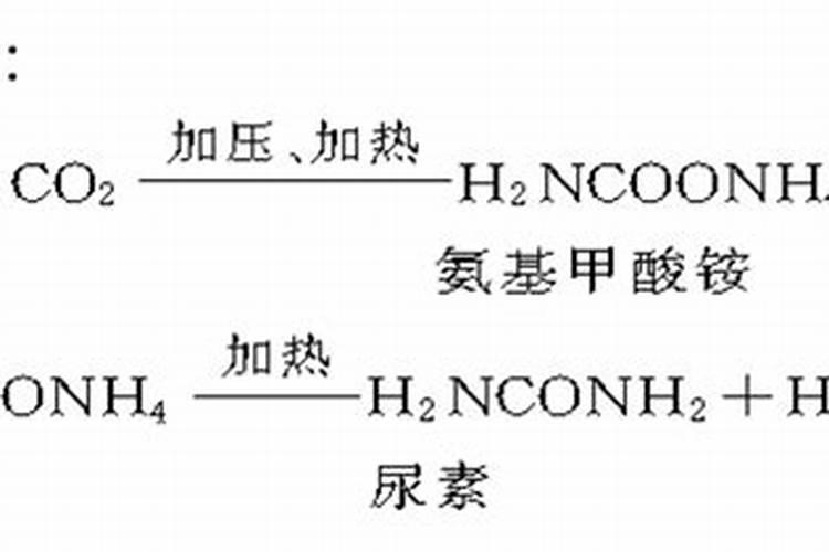 氮肥有哪些区别,怎么自制氮肥