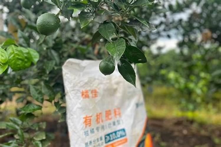 柑橘专用促花叶面肥柑橘促花用什么肥柑橘促花肥批发