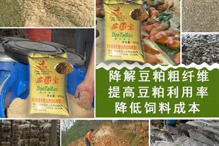 豆粕怎样发酵酵