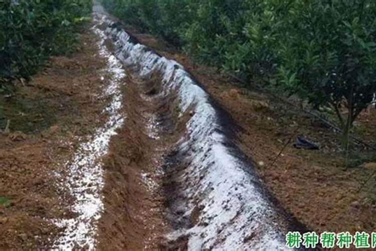 氮肥怎么施