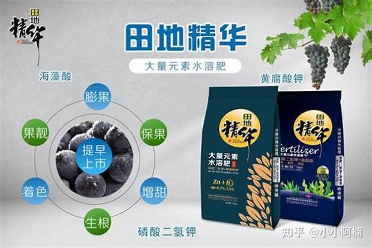 水溶肥与叶面肥的区别