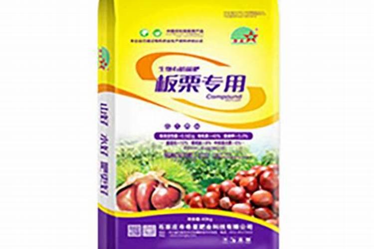 早板栗夏季什么时候施肥合适